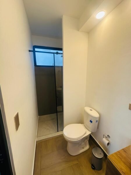 Suite principal